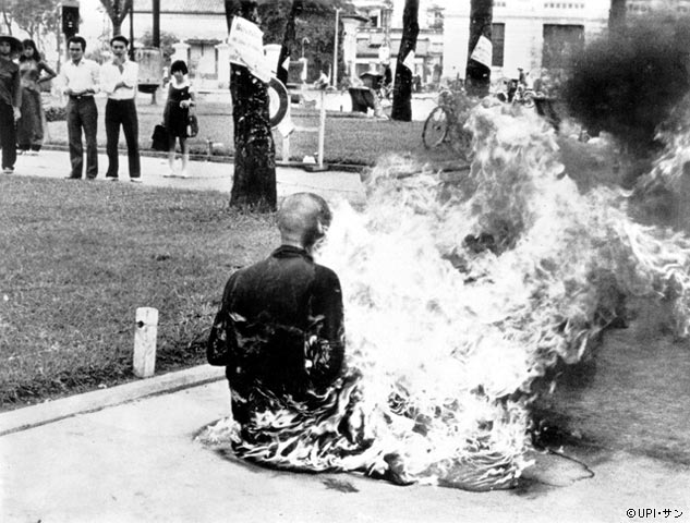 �x�g�i���푈���\����ʐ^